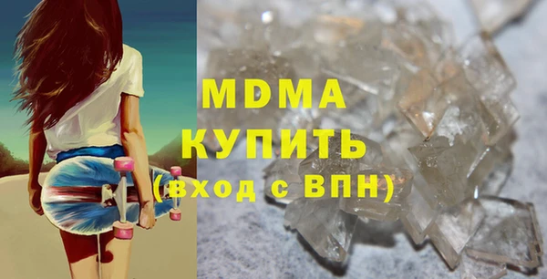 индика Инсар