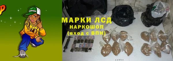 ПСИЛОЦИБИНОВЫЕ ГРИБЫ Иннополис