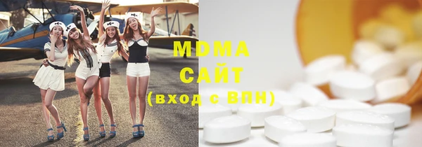 индика Инсар