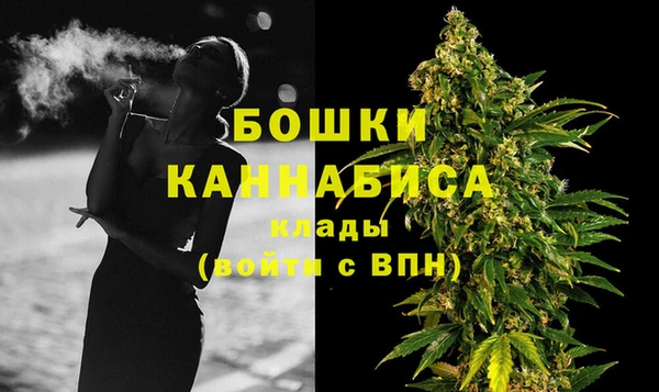 ПСИЛОЦИБИНОВЫЕ ГРИБЫ Иннополис