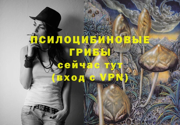 2c-b Инта