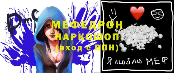 индика Инсар